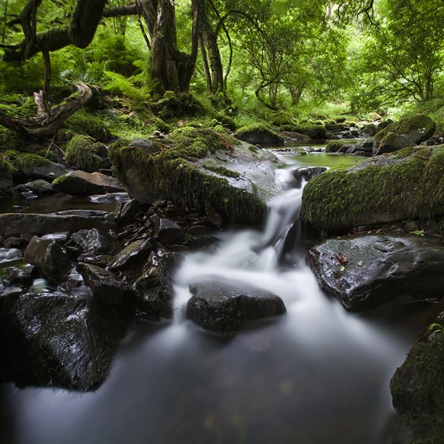 1024x1024 Silky Waterfall - scenery iPad Wallpaper