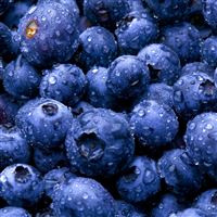Blue Berries wallpaper