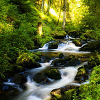 Silky Waterfall wallpaper