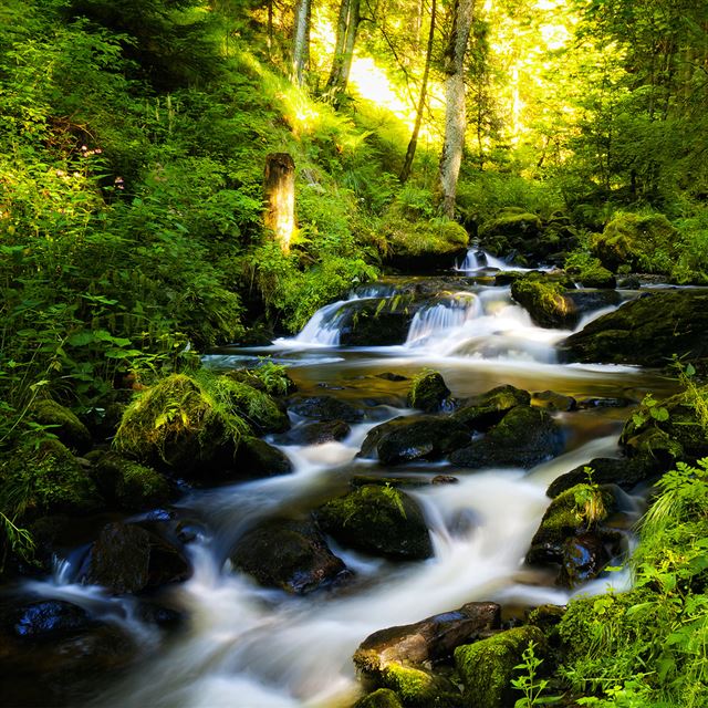 1024x1024 Silky Waterfall - scenery iPad Wallpaper