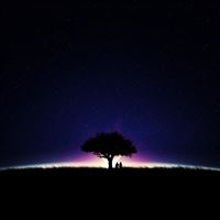 Starry Night wallpaper