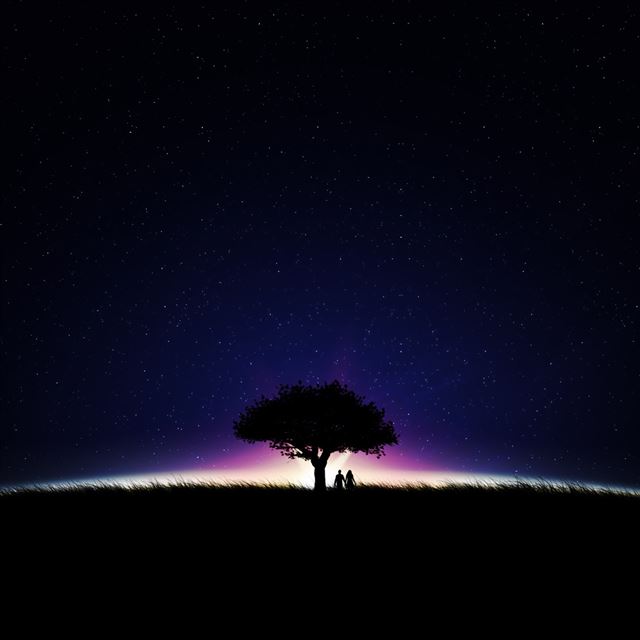 1024x1024 Starry Night - tree iPad Wallpaper