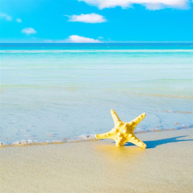 1024x1024 Starfish On The Beach 5 - yellow iPad Wallpaper