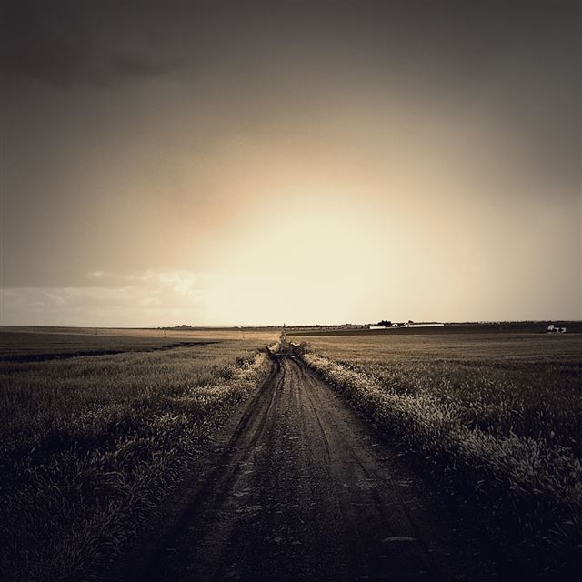 1024x1024 Field Way - black iPad Wallpaper