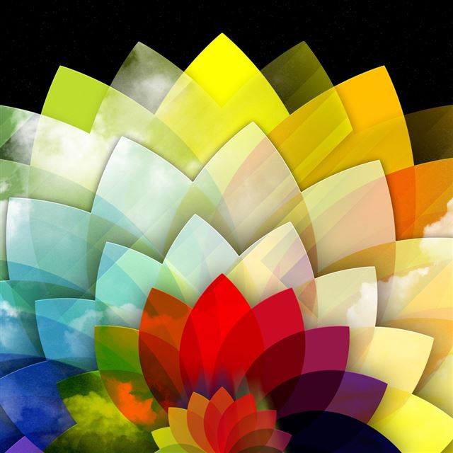 1024x1024 Sky Flower - flower iPad Wallpaper