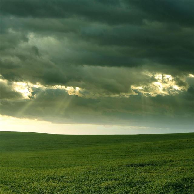 1024x1024 Grassy Field - scenery iPad Wallpaper
