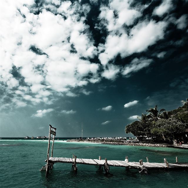 1024x1024 Sea - tree iPad Wallpaper