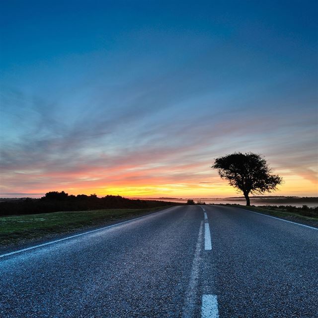 1024x1024 Hdr Road - tree iPad Wallpaper