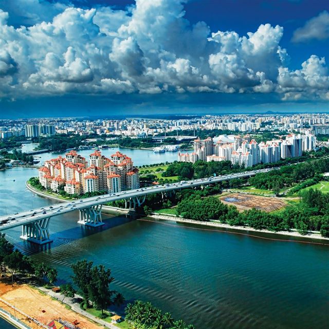1024x1024 Singapore - tree iPad Wallpaper