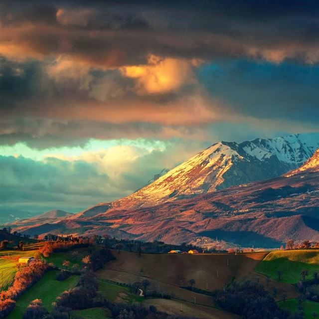 1024x1024 The Apennines Mountains - tree iPad Wallpaper