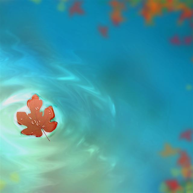 1024x1024 Fallen autumn leaves - leaves iPad Wallpaper