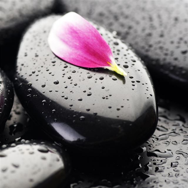 1024x1024 Stone Flower - stone iPad Wallpaper