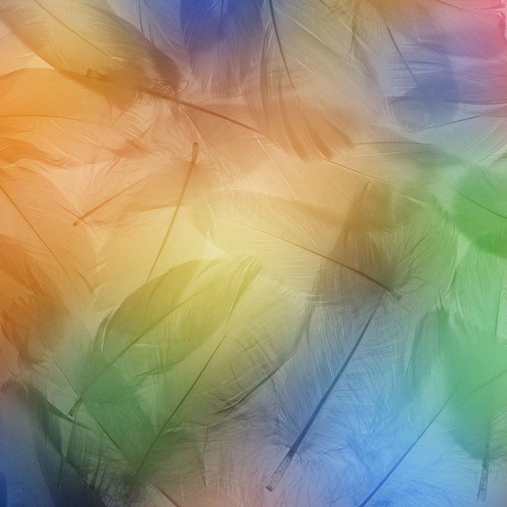Fantasy Feathers iPad Wallpapers Free Download