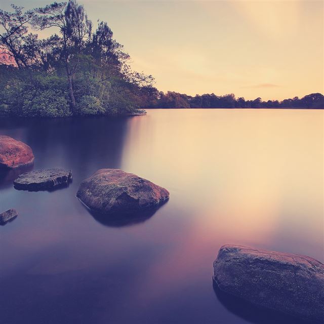 1024x1024 Landscapes - tree iPad Wallpaper