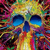 Skull color wallpaper