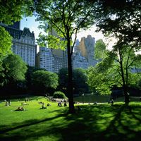 Central Park wallpaper