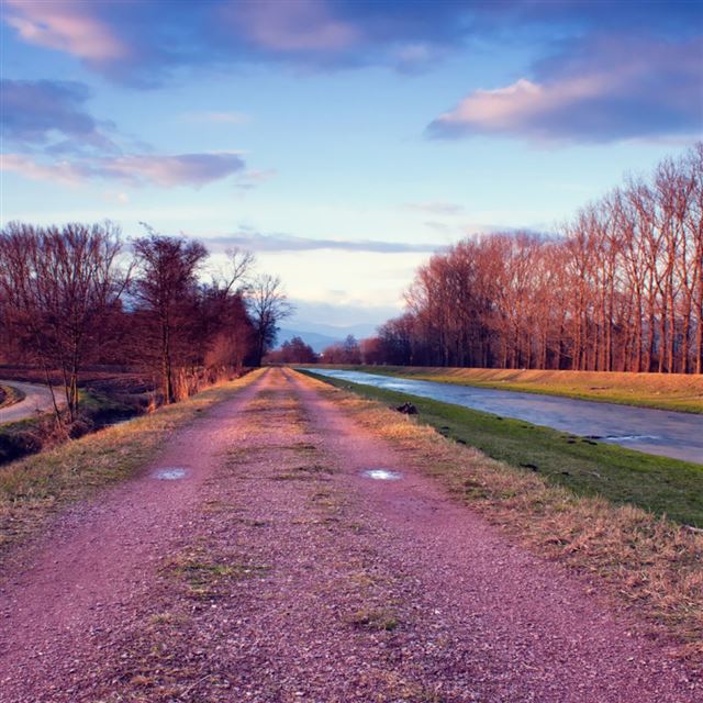 1024x1024 Riverside Road - tree iPad Wallpaper