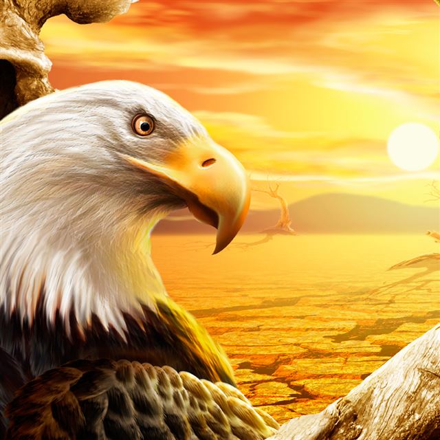 1024x1024 Eagle - orange iPad Wallpaper