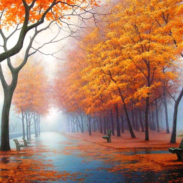1024x1024 Autumn Road - tree iPad Wallpaper