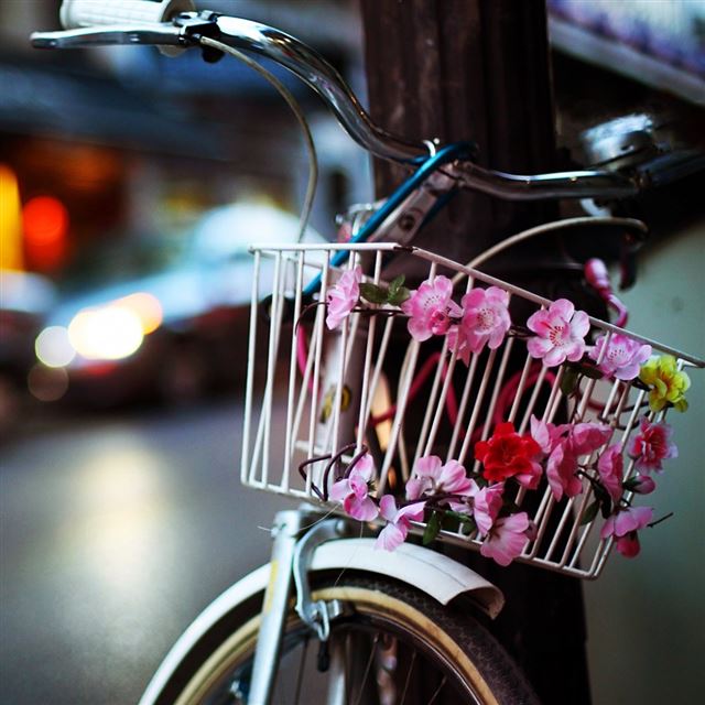 1024x1024 Flower Bike - road iPad Wallpaper