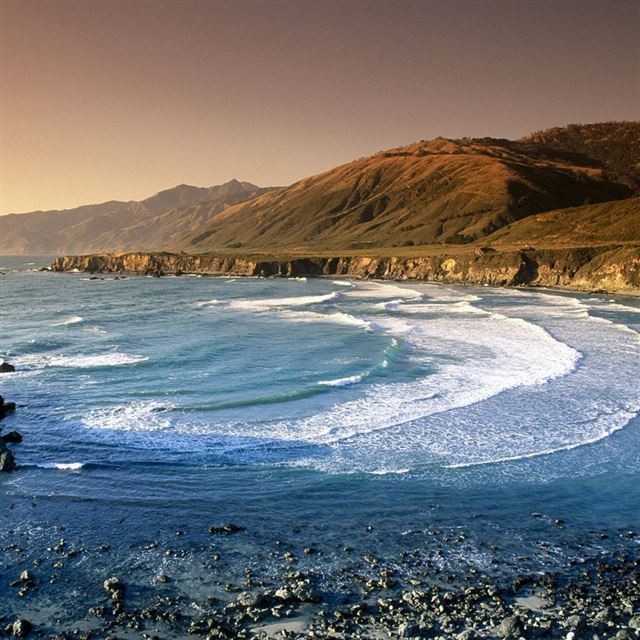 1024x1024 Sand Dollar Beach - beach iPad Wallpaper