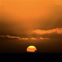 Rising Sun wallpaper