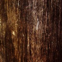 Dark Wood Grain wallpaper