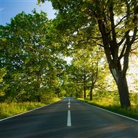 Beautiful Road wallpaper