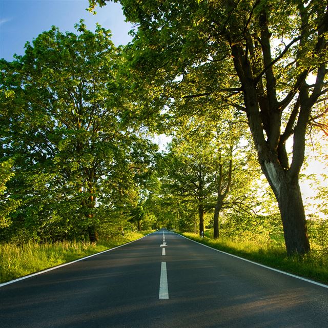 1024x1024 Beautiful Road - scenery iPad Wallpaper