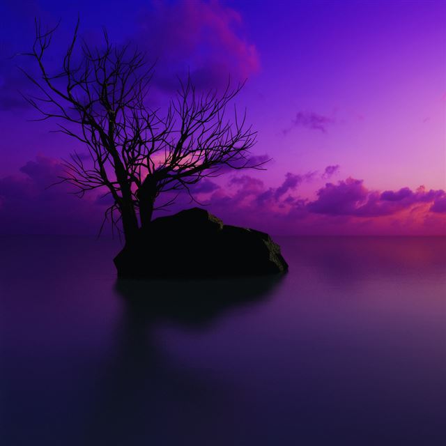 1024x1024 Purple Sunset - scenery iPad Wallpaper
