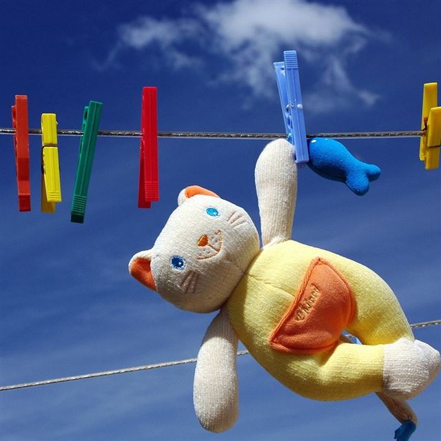 1024x1024 Funny -  iPad Wallpaper