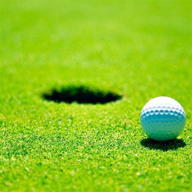 1024x1024 Golf green grass - bokeh iPad Wallpaper