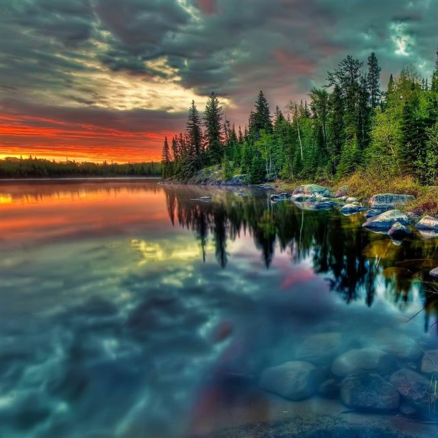 1024x1024 Clouds reflection - tree iPad Wallpaper