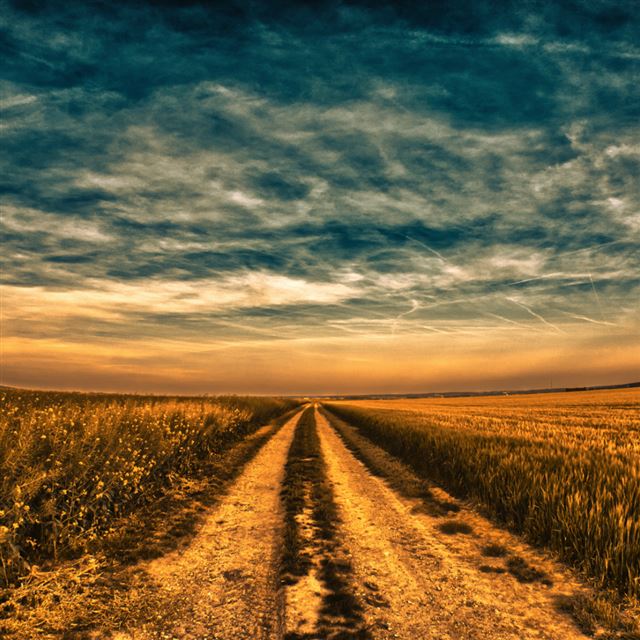 1024x1024 Field road - road iPad Wallpaper