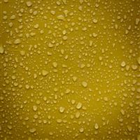 Delicious Beer wallpaper