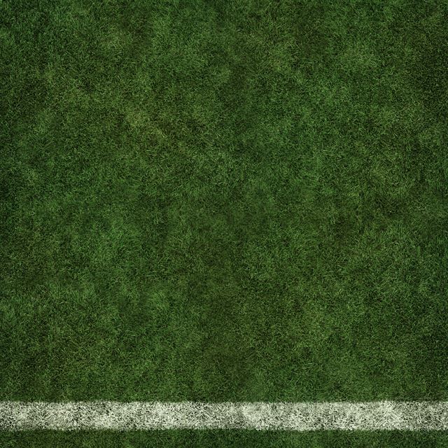 1024x1024 Pitch - grass iPad Wallpaper