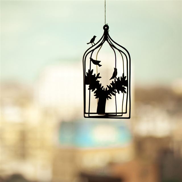 1024x1024 Bird Cage - bird iPad Wallpaper
