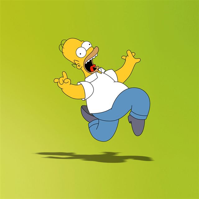 1024x1024 Homer Simpson - cartoons iPad Wallpaper