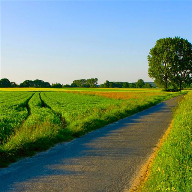 1024x1024 Summer landscape nature - road iPad Wallpaper