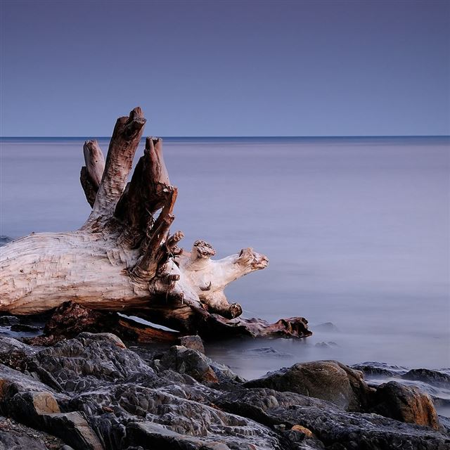 1024x1024 Beach driftwood - stone iPad Wallpaper