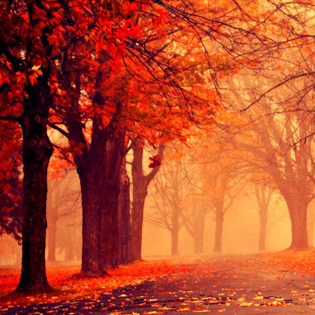 Fall iPad Wallpapers Free Download