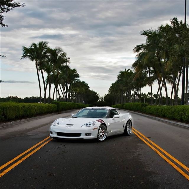 1024x1024 Chevrolet Corvette z06 - road iPad Wallpaper