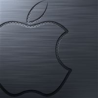 Apple Logo Computer wallpaper