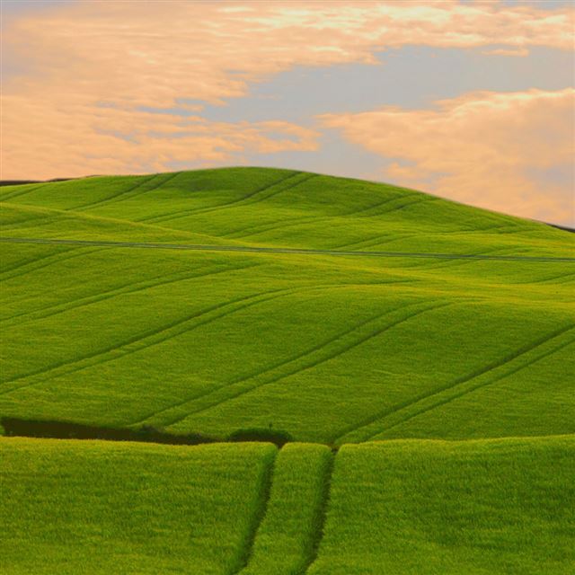 1024x1024 Green wavy hills - hills iPad Wallpaper
