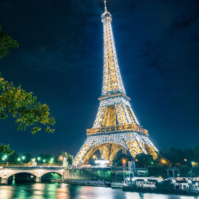1024x1024 Eiffel tower - tree iPad Wallpaper