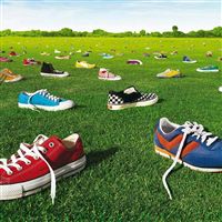 Field of Shoes wallpaper