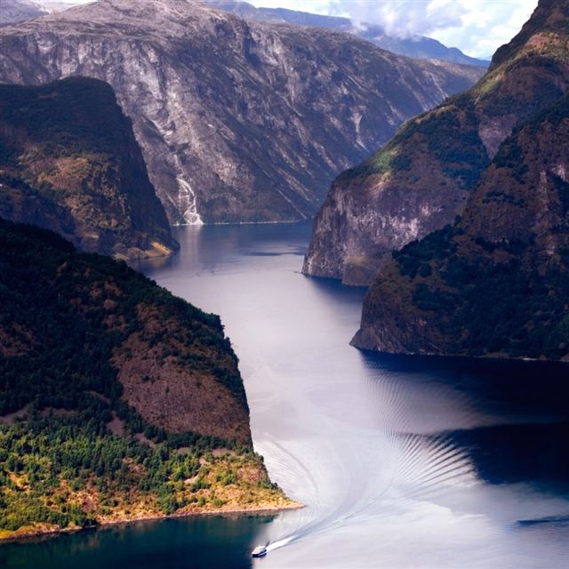 1024x1024 Wonderful Fjord - tree iPad Wallpaper