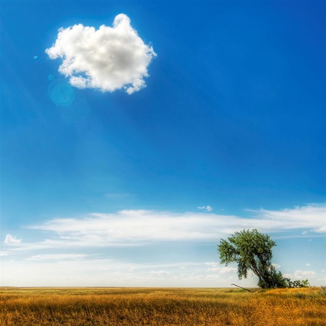 1024x1024 Warm day - orange iPad Wallpaper