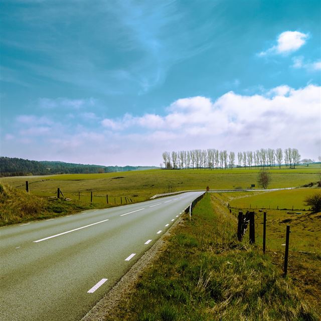1024x1024 Road Through Smaland Sweden - tree iPad Wallpaper