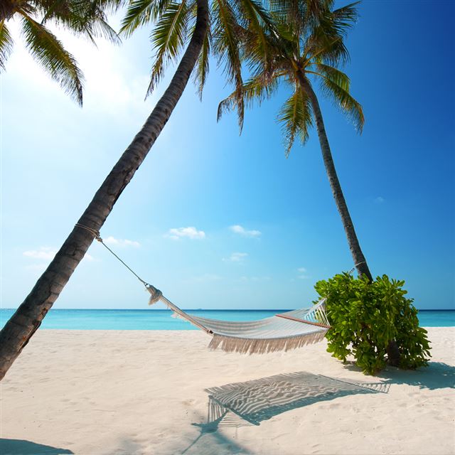 1024x1024 beach hammock in the sun - green iPad Wallpaper